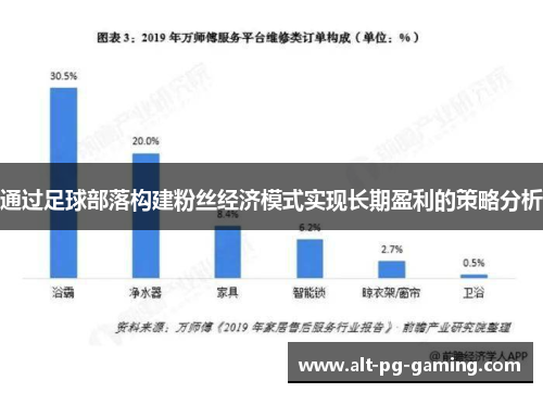 通过足球部落构建粉丝经济模式实现长期盈利的策略分析